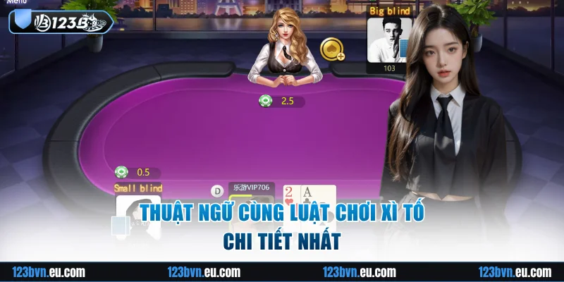 Thuật ngữ và bộ luật chi tiết nhất của trò chơi xì tố